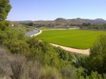 08262010023.jpg