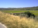 08262010033.jpg