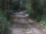 IMG_0453.jpg