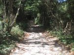 IMG_0454.jpg