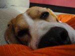DSC00038.JPG