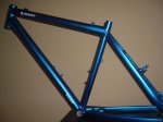 pintura bici 006.jpg