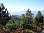 DSC04469.jpg