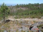 DSC04466.jpg