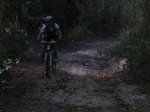 IMG_0463.jpg