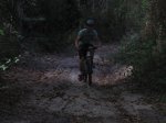 IMG_0462.jpg