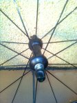 Imagen0287.jpg