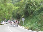 IMG_0549.jpg