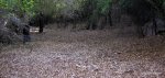 mtb - fuente de los arrieros 012-1.jpg