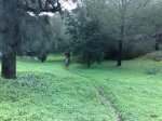 070320102092.jpg