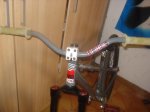 DSC02439.jpg