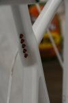 LOOK lacoste1.JPG