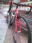 ZIPP.jpg