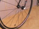 DISFRACES INFANTILES  2010 037.jpg
