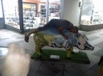 21082010345.jpg