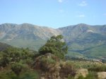 DSC00773.jpg