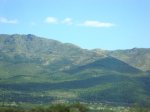 DSC00774.jpg