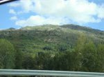 DSC00768.jpg