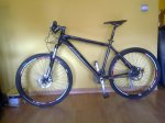 bici luis.jpg