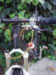 Proflex Carbon4CORE3.JPG