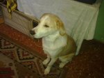 16122009156.jpg