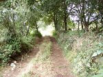 Limpieza- 08.jpg