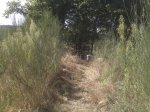 IMG00004.jpg