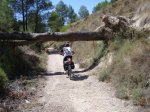 vias de Alicante 146_1000x750.jpg