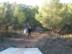 salto hermy 016.jpg