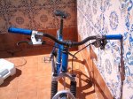 DSC00036.jpg