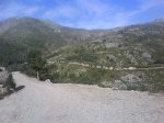 DSC00137.jpg