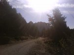 DSC00128.jpg