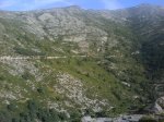 DSC00132.jpg