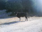 DSC00111.jpg