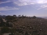 DSC00136.jpg