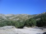DSC00120.jpg