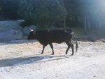 DSC00112.jpg