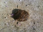 DSC00121.jpg