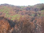IMG_3134.jpg