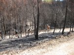 IMG_3128.jpg