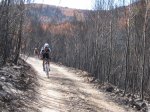 IMG_3125.jpg