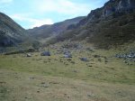 DSC06874.jpg