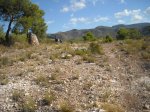 DSCN0614.jpg