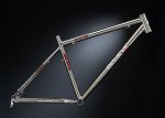 titani_fizzbikes.jpg