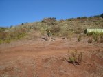 DSC06780.jpg