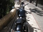 IMG_0059.jpg