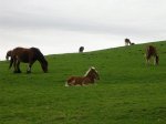 DSCN2358.JPG
