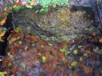 DSCN2391.JPG