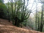 DSCN2406.JPG