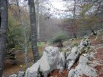 aralar00012.jpg